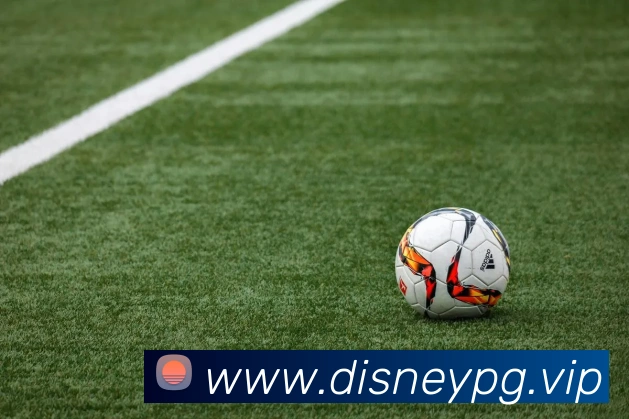 pg官网APP 高清赛事图